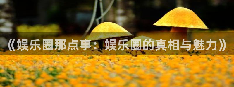 蓝图娱乐平台主管：《娱乐圈那点事：娱乐圈的真相与魅力》