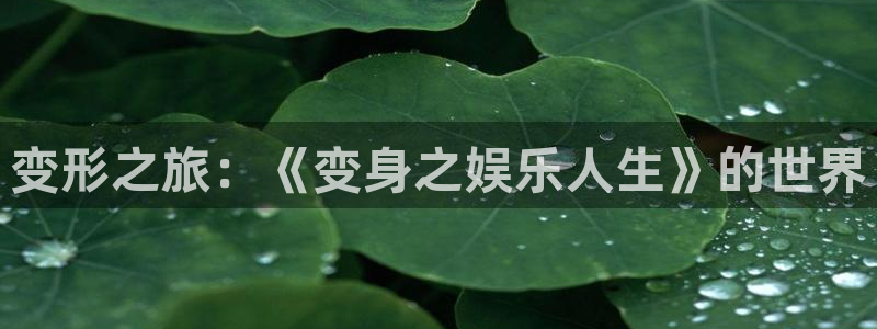 蓝图娱乐平台：变形之旅：《变身之娱乐人生》的世界