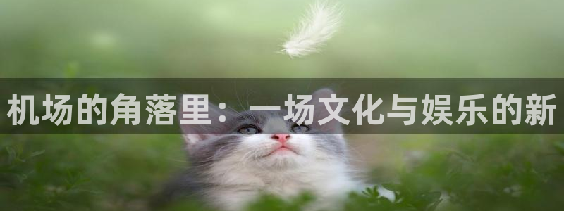 蓝图娱乐：机场的角落里：一场文化与娱乐的新