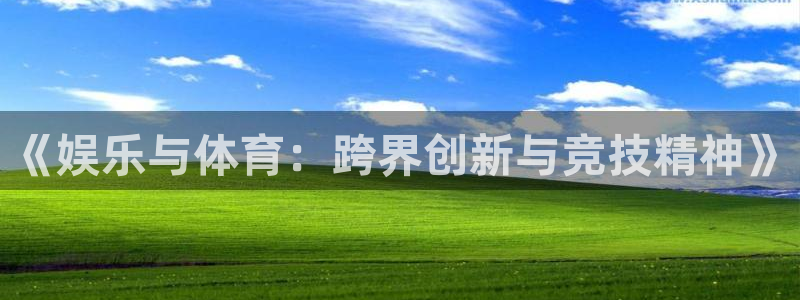蓝图娱乐平台：《娱乐与体育：跨界创新与竞技精神》