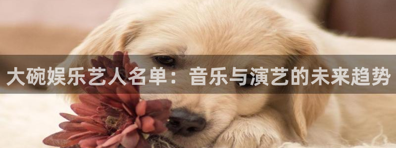 蓝图娱乐官网入口：大碗娱乐艺人名单：音乐与演艺的未来趋势