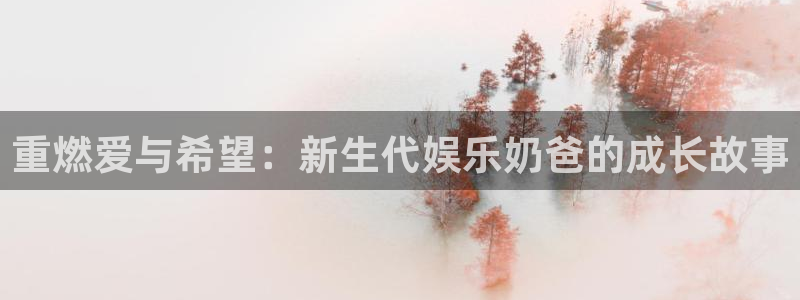 蓝图娱乐平台主管：重燃爱与希望：新生代娱乐奶爸的成长故事