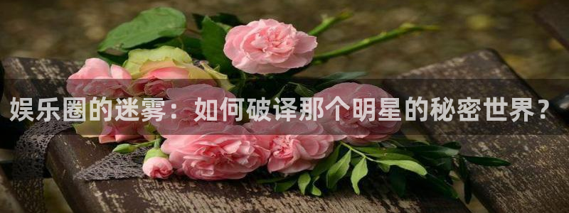 蓝图娱乐：娱乐圈的迷雾：如何破译那个明星的秘密世界？