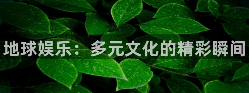 蓝图娱乐平台：地球娱乐：多元文化的精彩瞬间