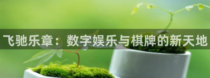 蓝图娱乐平台主管：飞驰乐章：数字娱乐与棋牌的新天地