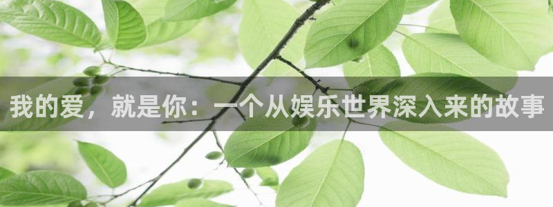 蓝图娱乐官网入口：我的爱，就是你：一个从娱乐世界深入来的故事
