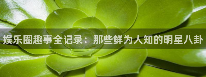 蓝图娱乐平台：娱乐圈趣事全记录：那些鲜为人知的明星八卦