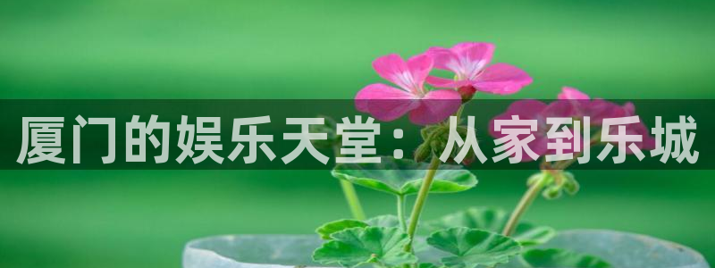 蓝图娱乐官网入口：厦门的娱乐天堂：从家到乐城